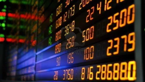 Expanding Wynyard raises $30m capital...