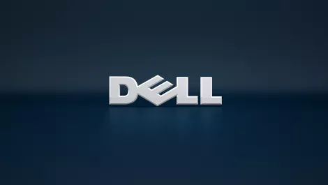 Dell defends shareholder privacy offer