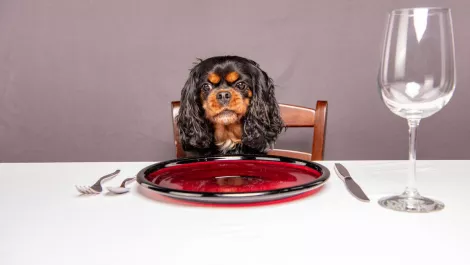 What noone told you about being hungry