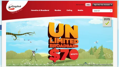 Slingshot down with network problems