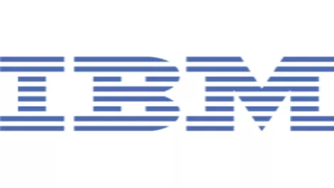 IBM launches Software and Consulting services