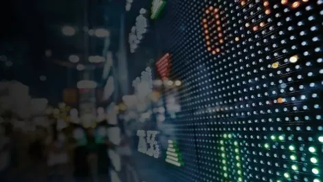 Wynyard Group sees significant revenue growth
