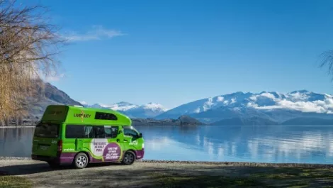 Jucy books Promapp in to support global expansion