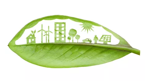 Mitsubishi launches D-SMiree, turns over green leaf