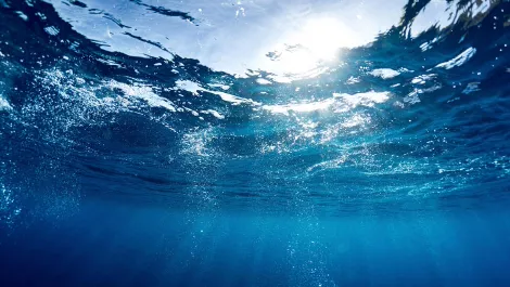 Thinkstockphotos 614437058