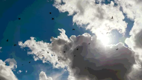 important considerations ahead of a cloud migration