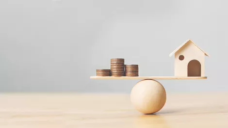 COVID-19- 19 leads to sharp rise in independent earning