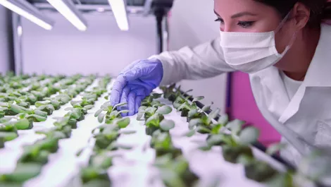 BioLumic: Using the near-magical properties of UV light to increase crop production